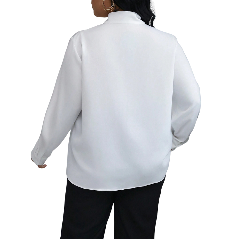 JANELA – Sophisticated Long Sleeve High Neck Blouse